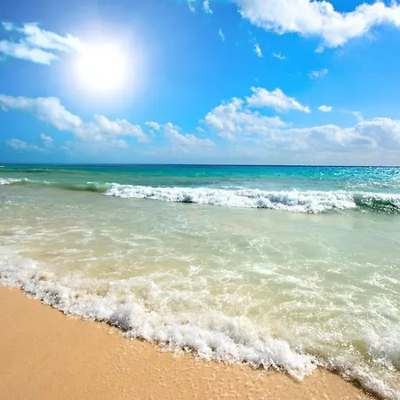 Apartment 75 Sunny Beach